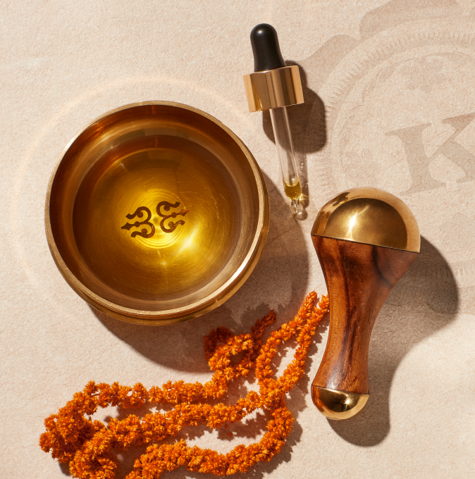 History of Ayurveda Image.png